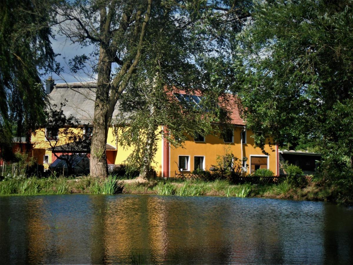 Ferienhof Im Gruenen Herzen Dittersdorf Εξωτερικό φωτογραφία